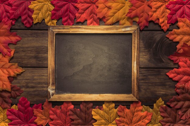 Blackboard frame with bright autumn leaves 