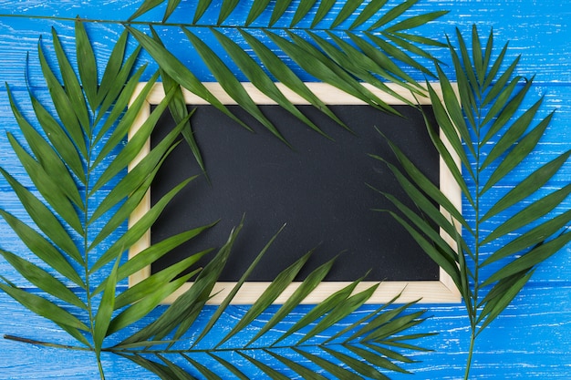 Blackboard and plant leaves on board