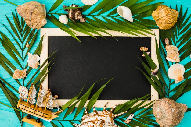 Blackboard and plant leaves with seashells and toy ship