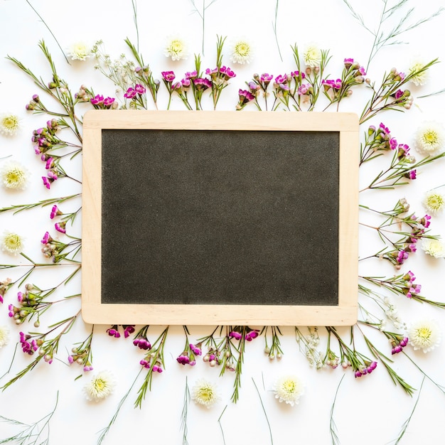 Free photo blackboard on wild flowers