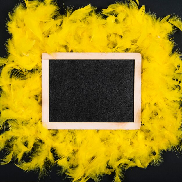 Blackboard on yellow feathers