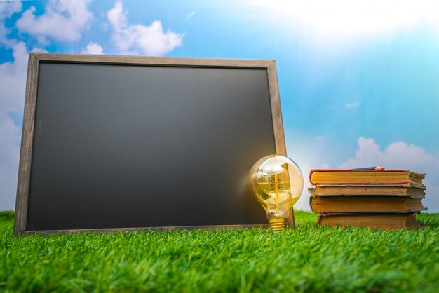 Blank black board and light bulb on grass field