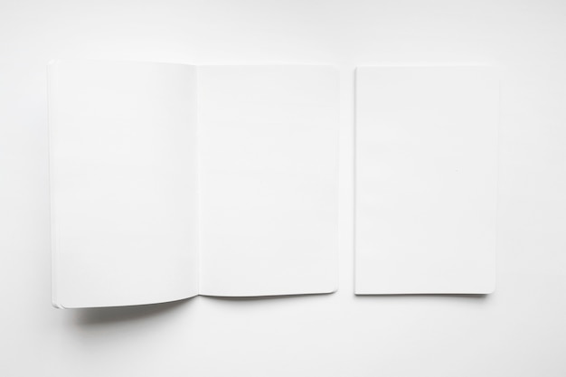 Blank brochure mockup