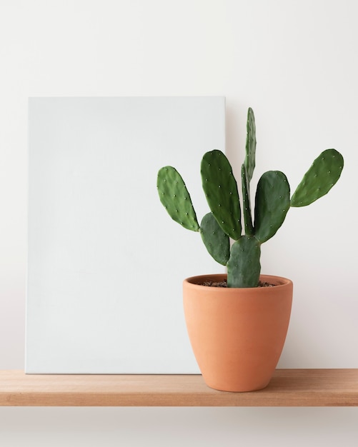Free photo blank canvas and cactus on a shelf
