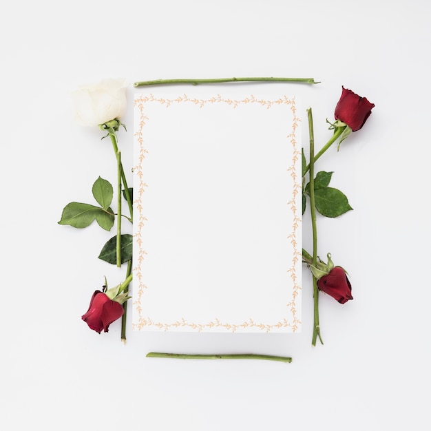 Blank card with red and white roses on white background