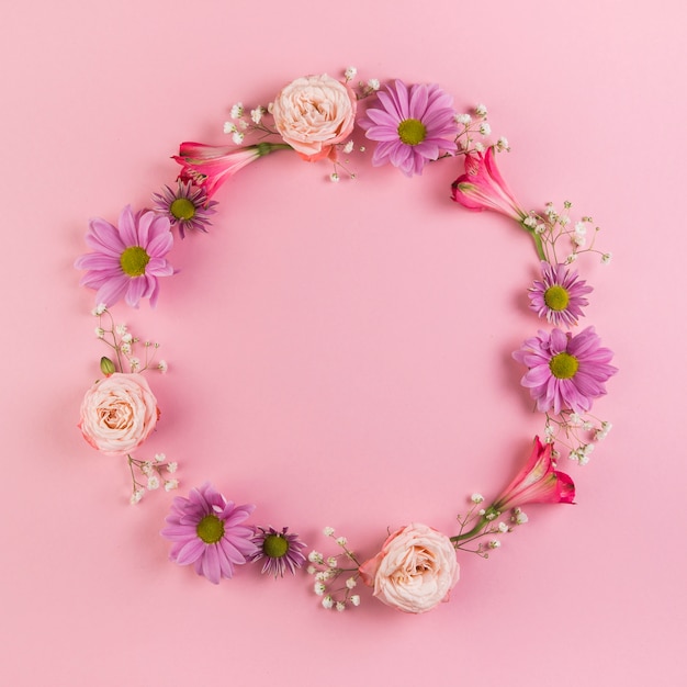 Blank circular frame made with flowers on pink background