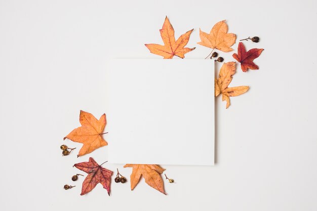 Blank copy space with autumn leaves frame