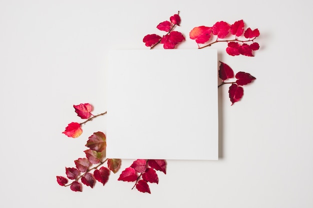 Бесплатное фото Пустой экземпляр пространства с рамкой фиолетовые осенние листья