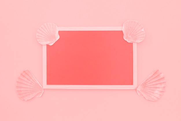 無料写真 ピンクの背景にホタテ貝殻で飾られた空白のサンゴフレーム