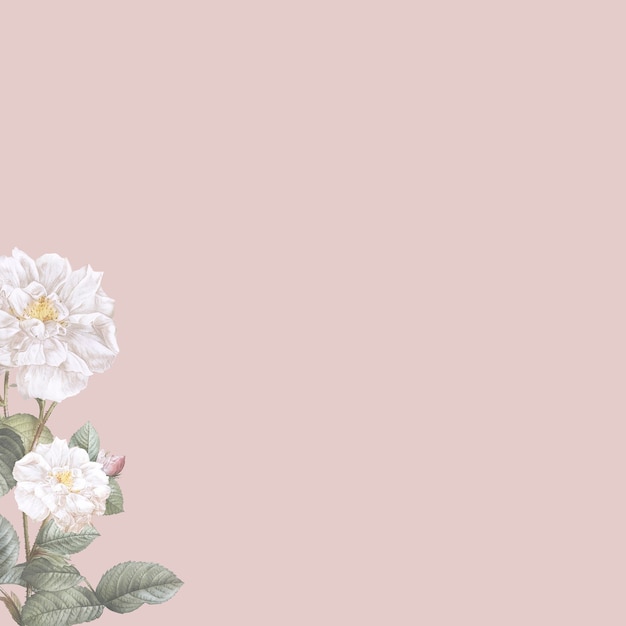 Free photo blank elegant flower on pastel background