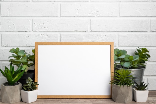 Blank frame next to flower pots