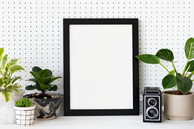 Blank frame on plant shelf home decor ideas