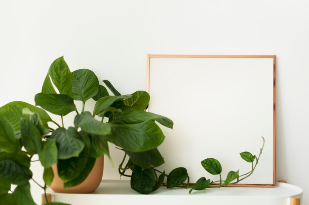 鉢植えの家の装飾の横にある空白のフレーム