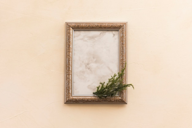 Blank frame with green branch 