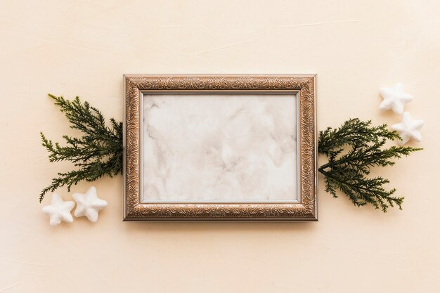 Blank frame with green branches