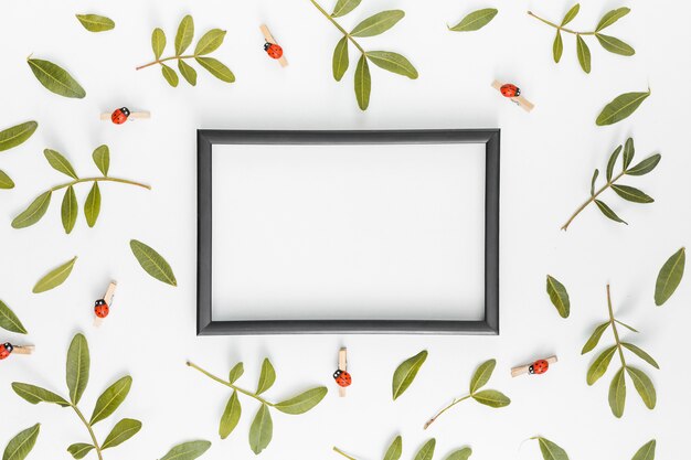 Blank frame with plant branches on table