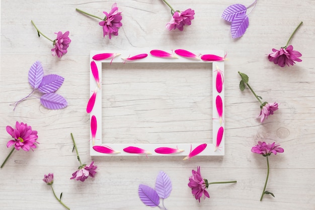 Blank frame with purple flowers on table