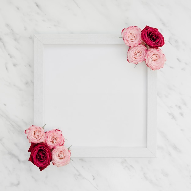 Free photo blank frame with roses top view