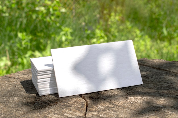 Бесплатное фото Пустой бланк визитки стека лежа на пень на открытом воздухе сцена с цветочными тенями