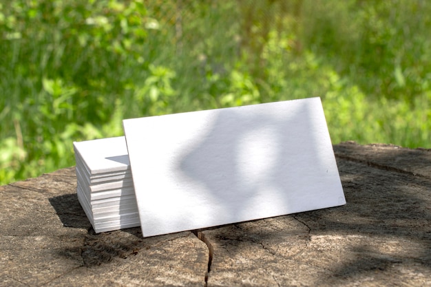 Blank letterpress business cards stack lying on a stump outdoor stage with floral shadows