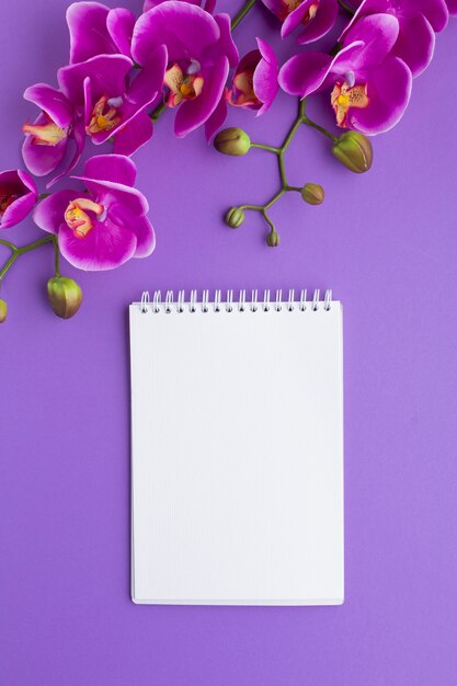 Blank notepad surrounded by orchids