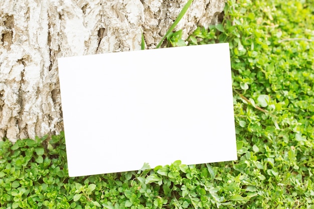 Free photo blank paper on green grass.