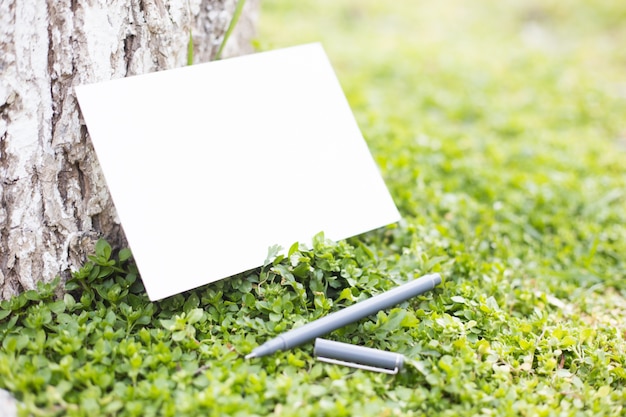 Free photo blank paper on green grass.