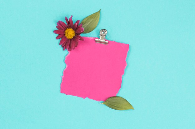 Blank paper sheet with pink flower and leaves 