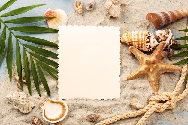 Blank paper sheet with shells and starfish