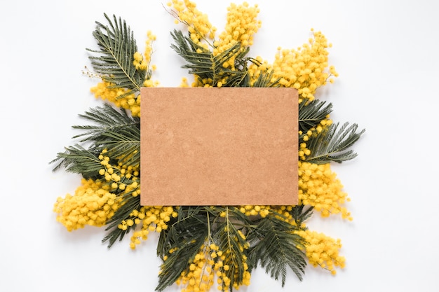 Blank paper sheet on yellow flower branches
