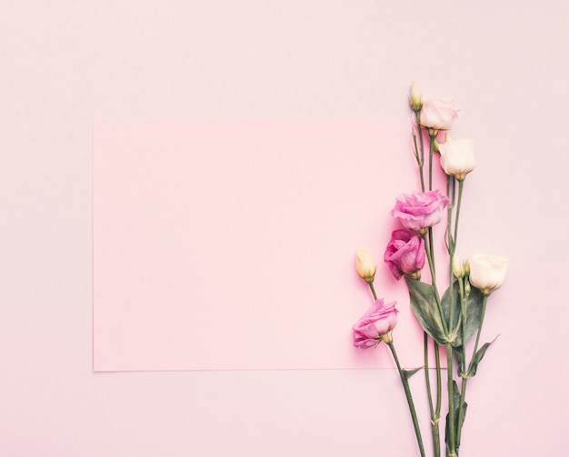 Free photo blank paper with bright flowers on table