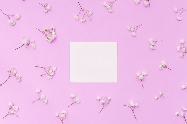 Blank paper with flower branches on table