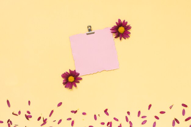 Чистый лист бумаги с цветами и лепестками