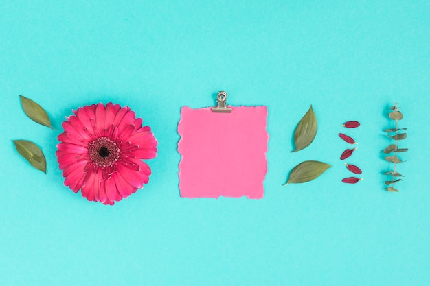 Blank paper with gerbera flower and leaves 