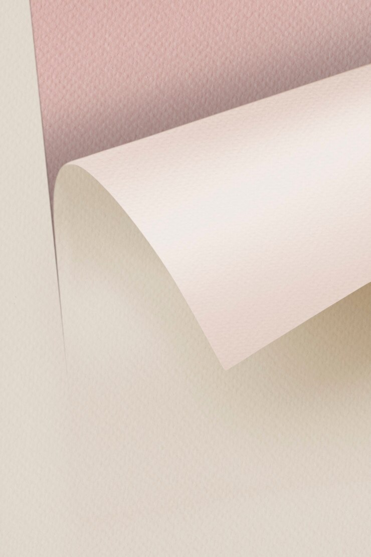 Free Photo blank rolled beige craft paper