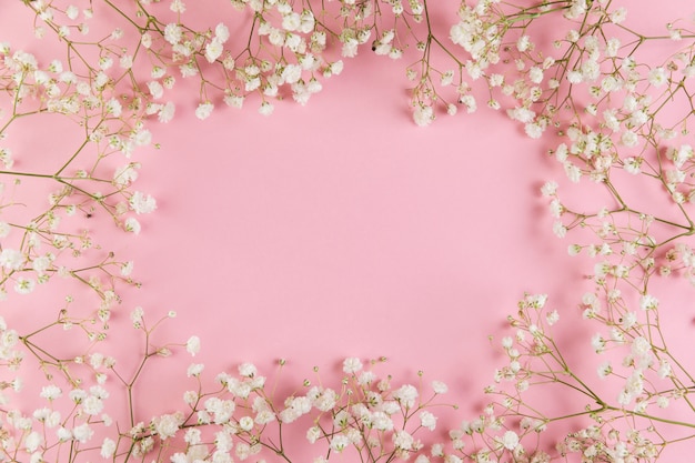 ピンクの背景に対して新鮮な白い石膏花とテキストを書くための空白