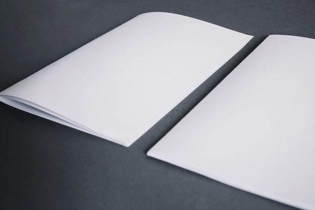 2つの小冊子を持つ空白の文房具の概念