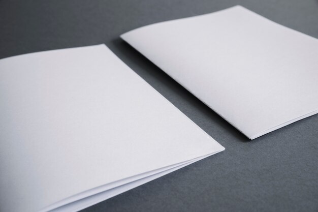blank stationery concept with two brochures