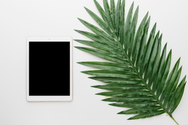 Blank tablet and tree leaf on light background