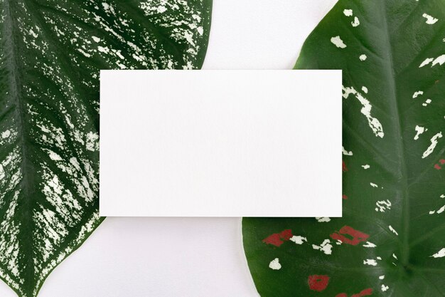 Blank white card on green leaves