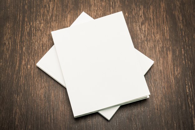 Blank white mock up book