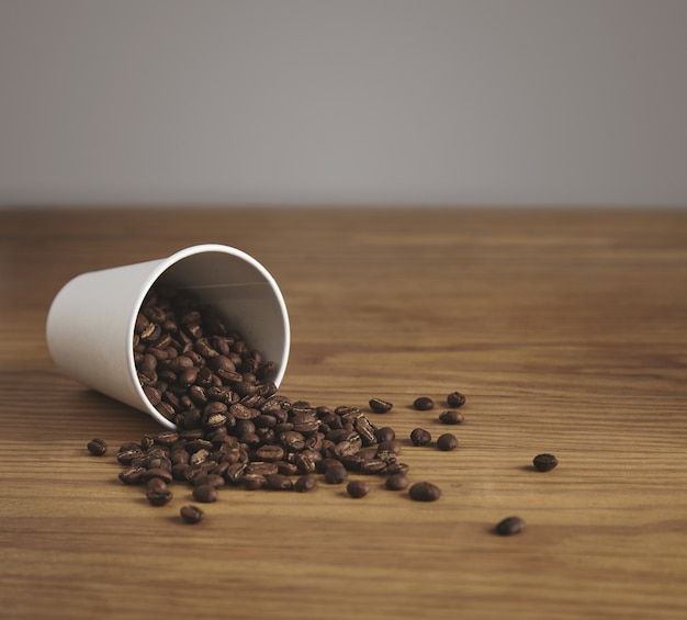 Blank white paper cup with good roasted coffee beans dropped on thick wooden table in cafe shop