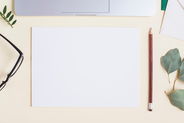 Blank white paper; pencil; eyeglasses; leaves and laptop on beige backdrop