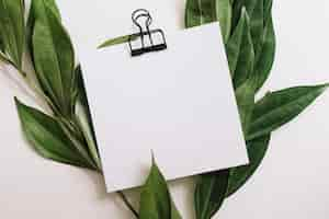 Free photo blank white paper with black paperclip decorated with green leaves on white background