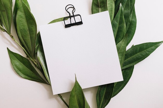 Blank white paper with black paperclip decorated with green leaves on white background