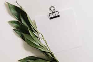 Free photo blank white paper with black paperclip and twig on white background