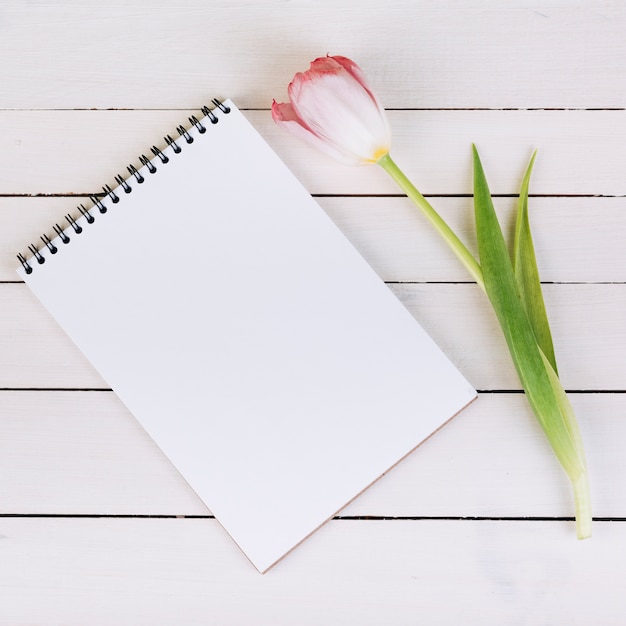 Blank white spiral notepad and fresh pink tulip on wooden desk