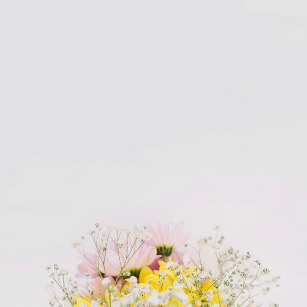 Blooming bouquet of wildflowers