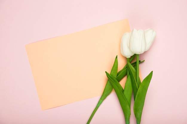 Foto gratuita tulipani in fiore con carta sul tavolo