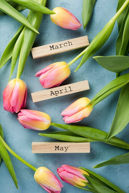 Blooming tulips with spring months tags